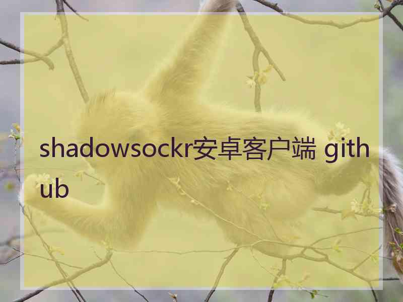 shadowsockr安卓客户端 github