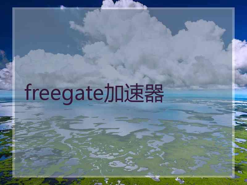 freegate加速器