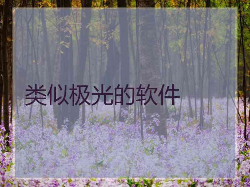 类似极光的软件