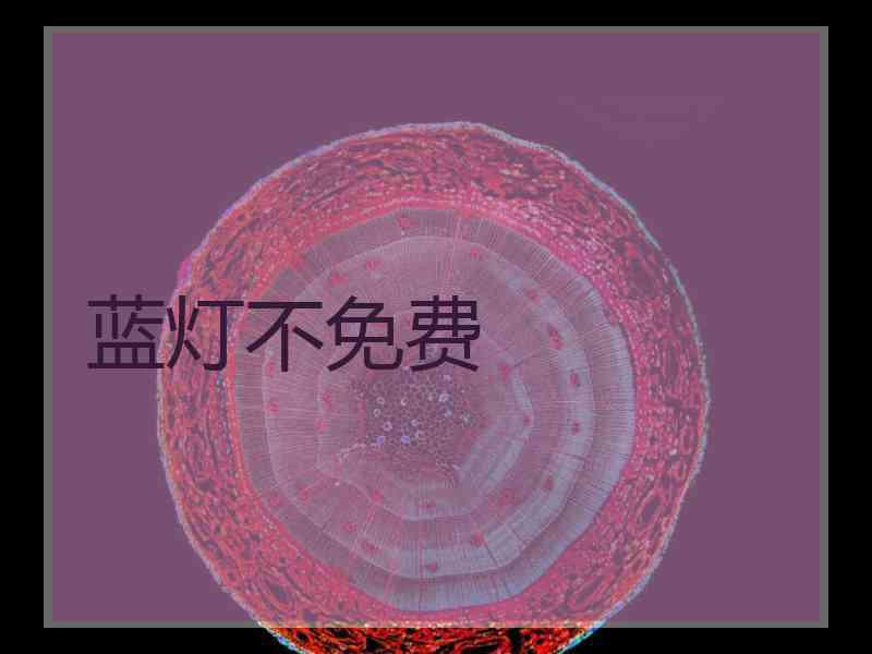 蓝灯不免费