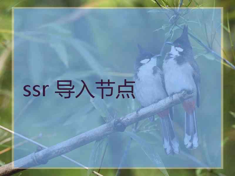 ssr 导入节点
