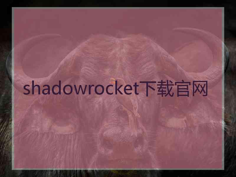 shadowrocket下载官网