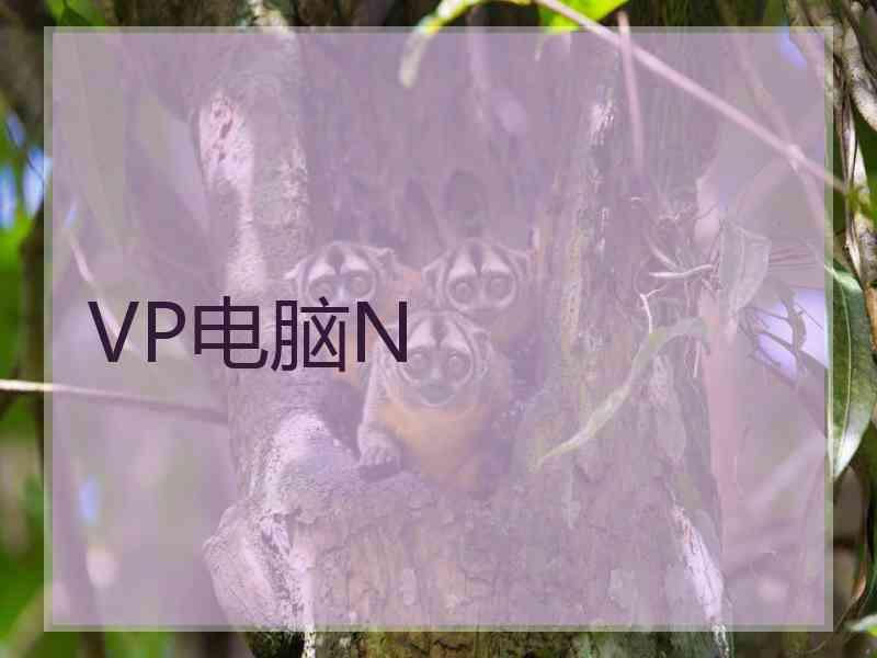VP电脑N