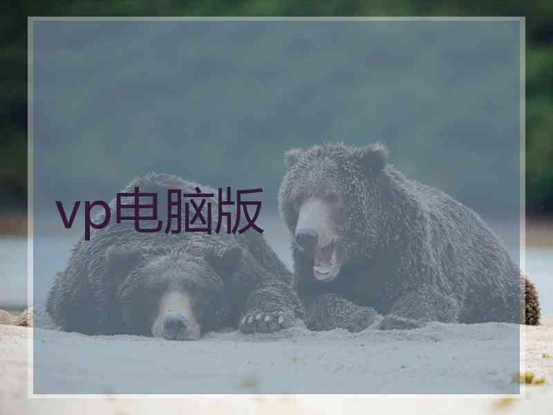 vp电脑版