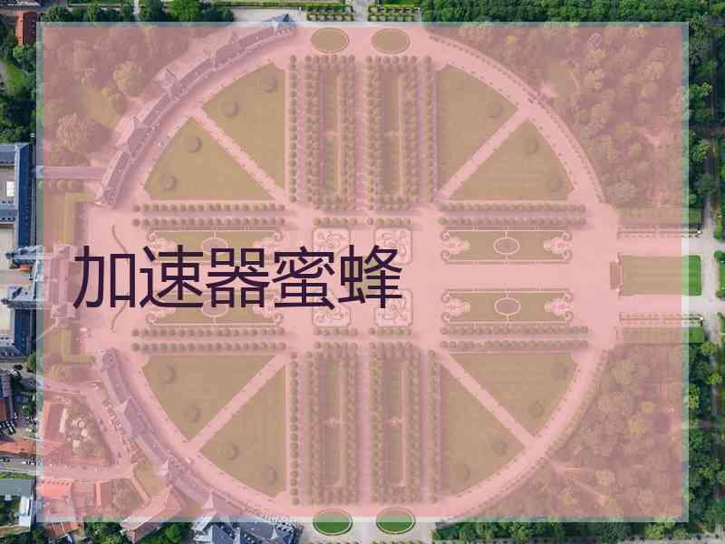 加速器蜜蜂