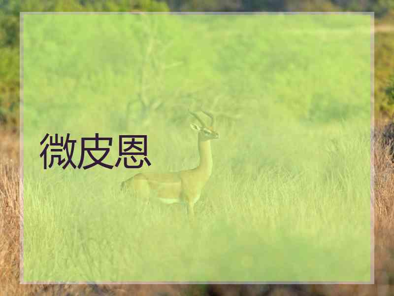 微皮恩