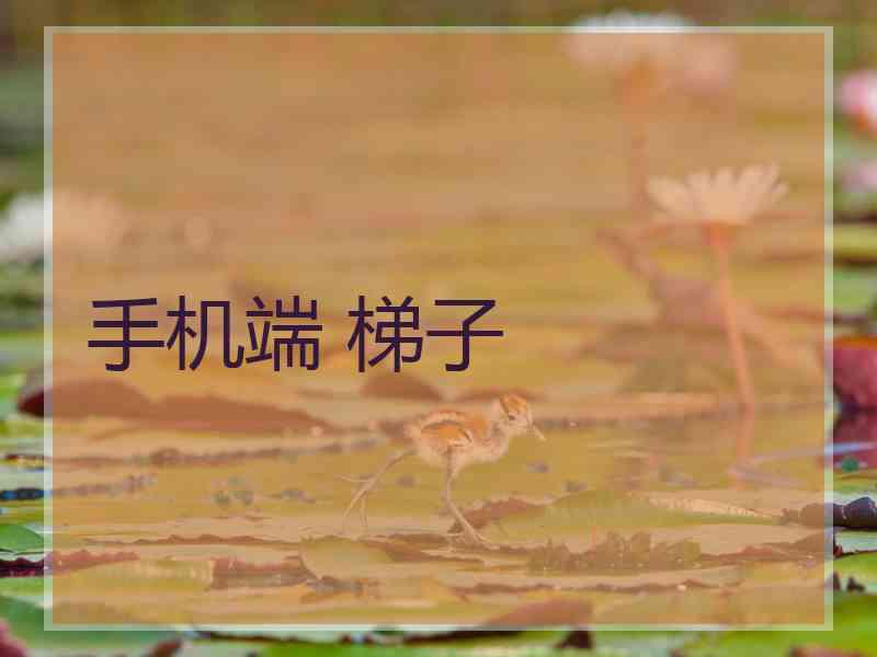 手机端 梯子