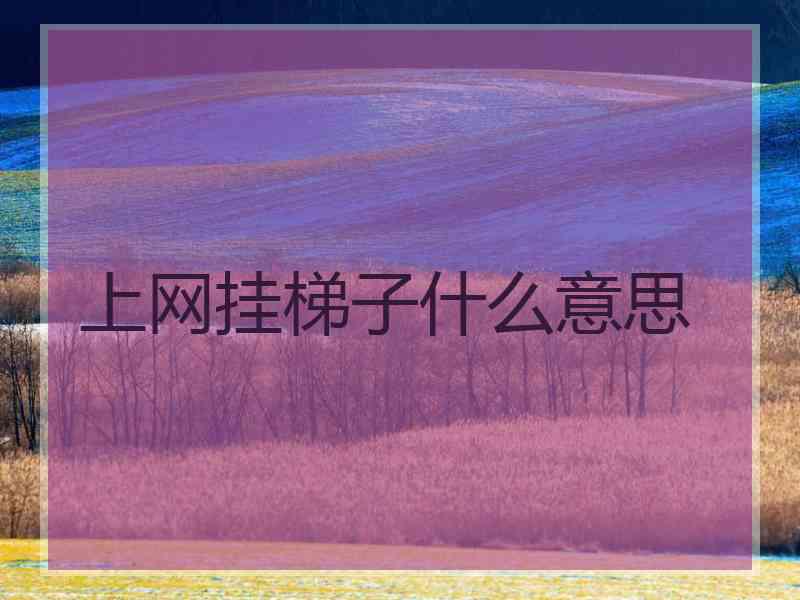 上网挂梯子什么意思