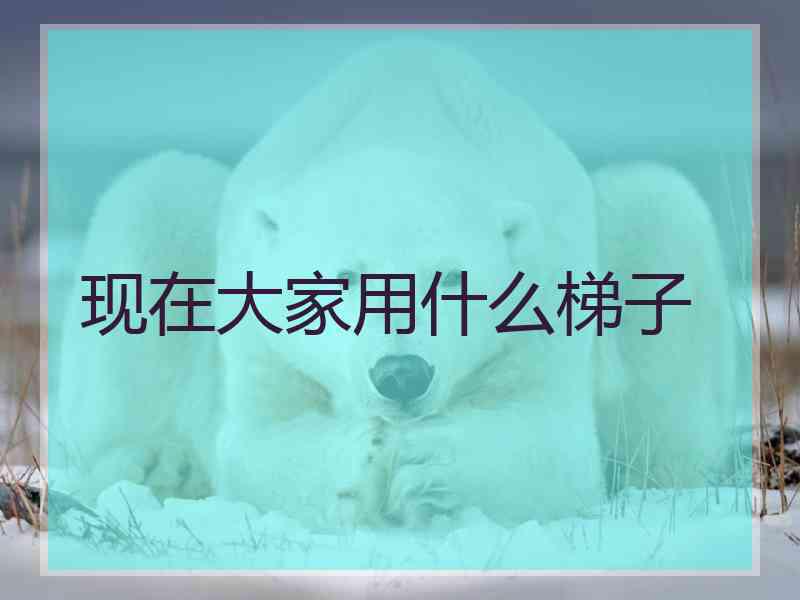 现在大家用什么梯子