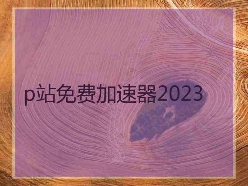 p站免费加速器2023