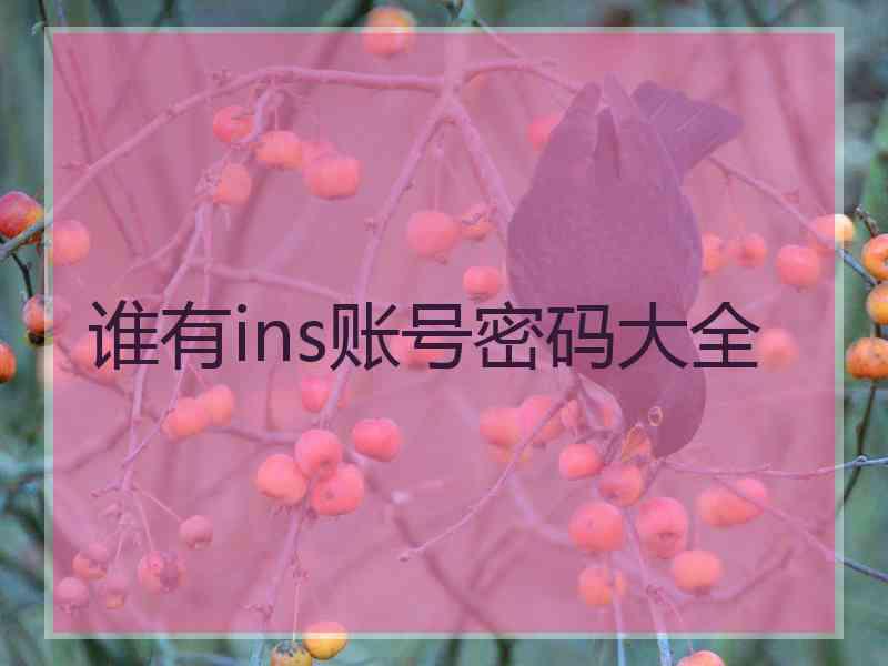 谁有ins账号密码大全