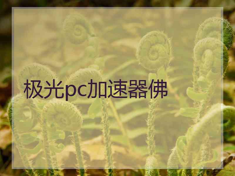 极光pc加速器佛