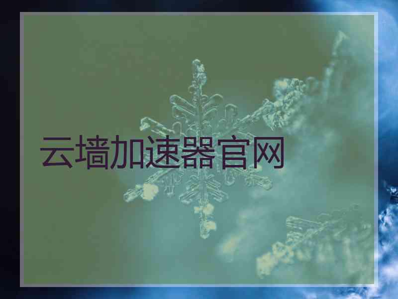 云墙加速器官网
