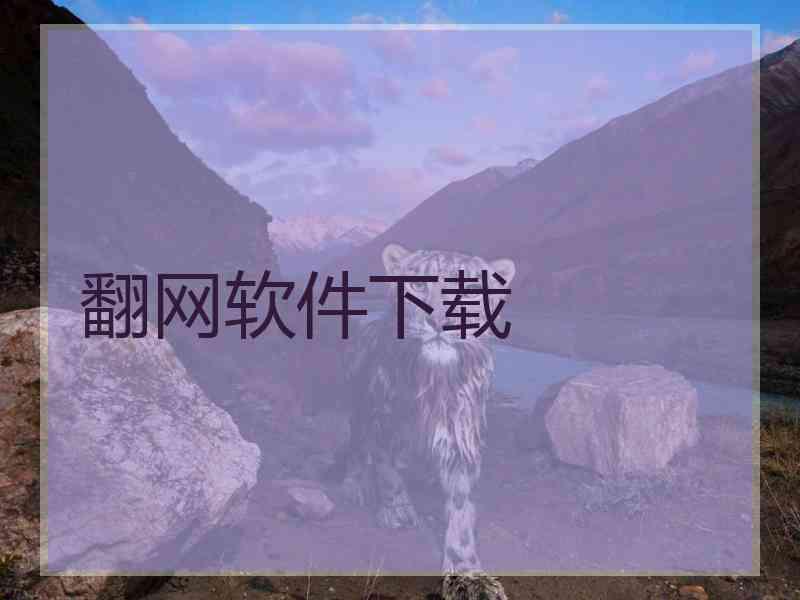 翻网软件下载