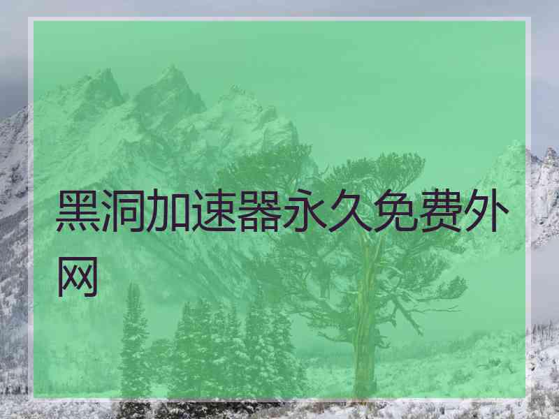 黑洞加速器永久免费外网