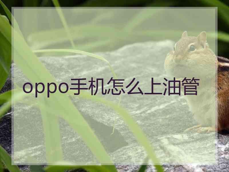 oppo手机怎么上油管