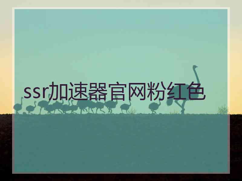 ssr加速器官网粉红色