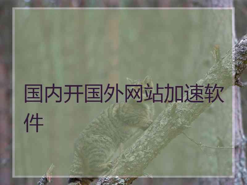 国内开国外网站加速软件
