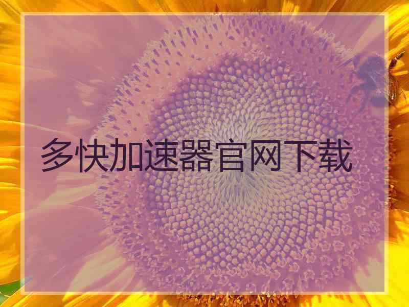 多快加速器官网下载