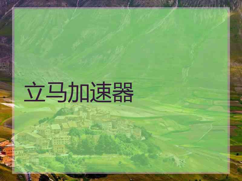 立马加速器