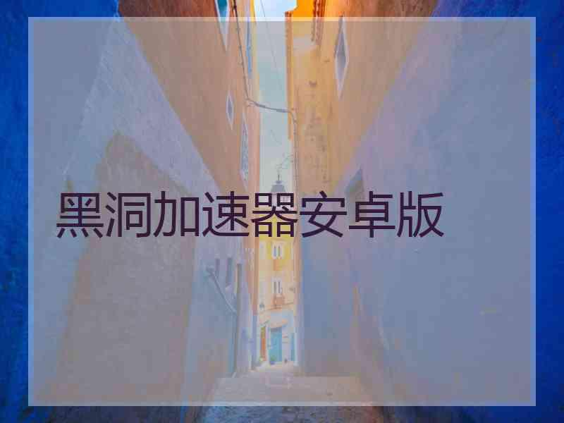 黑洞加速器安卓版