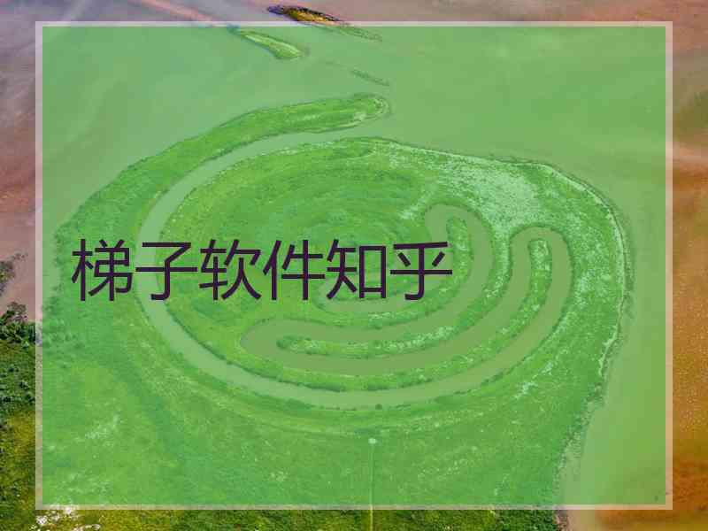 梯子软件知乎