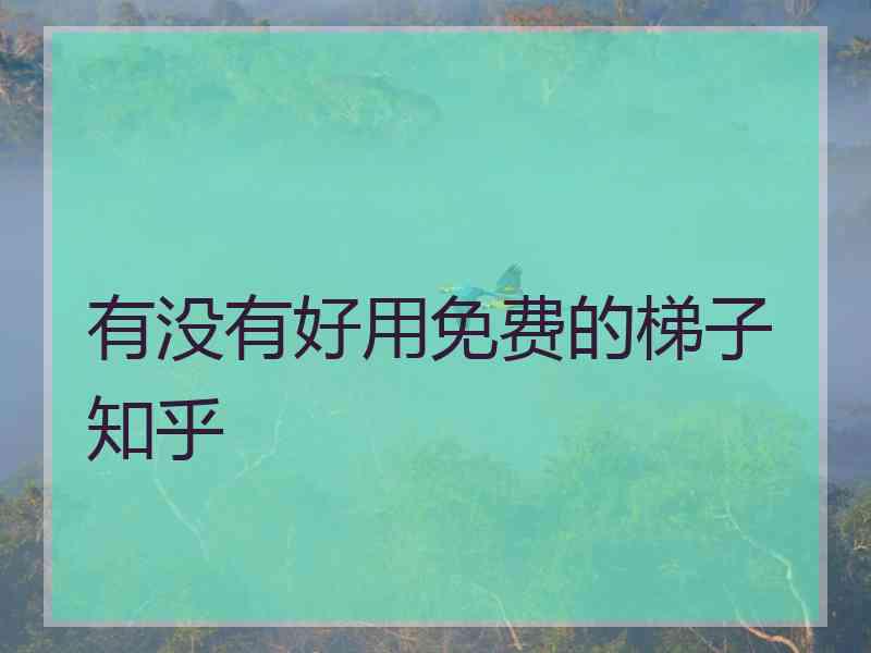 有没有好用免费的梯子 知乎