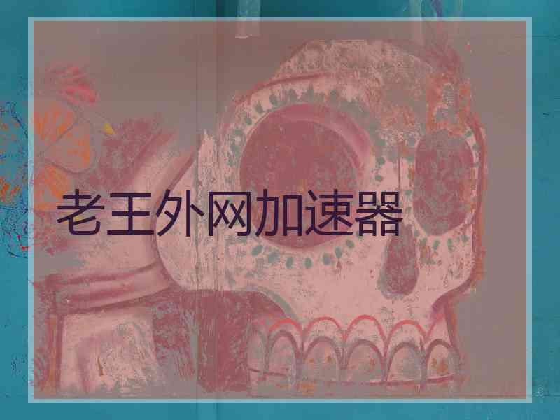 老王外网加速器