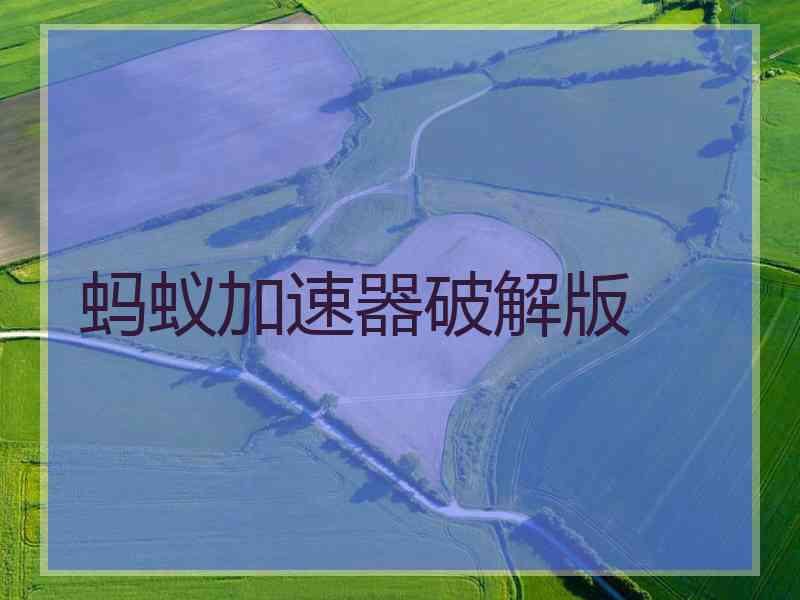 蚂蚁加速器破解版