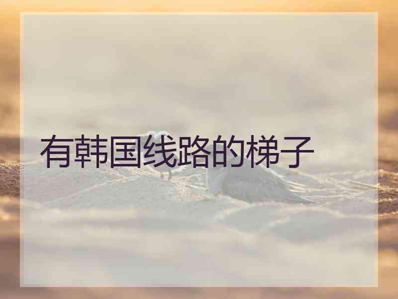 有韩国线路的梯子
