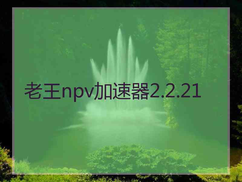 老王npv加速器2.2.21