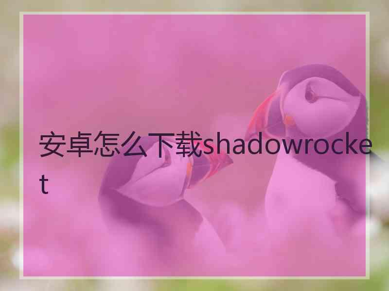 安卓怎么下载shadowrocket