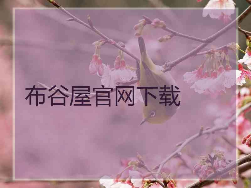 布谷屋官网下载