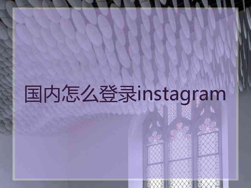 国内怎么登录instagram