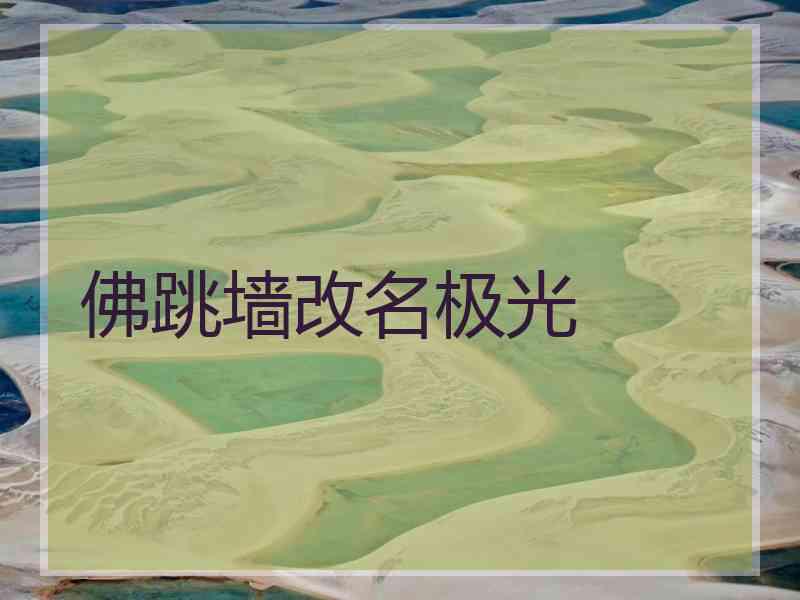佛跳墙改名极光