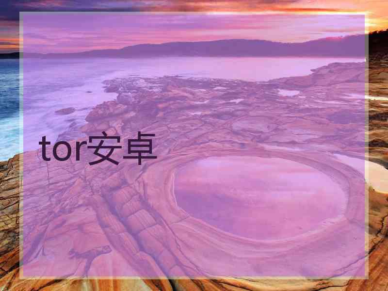 tor安卓
