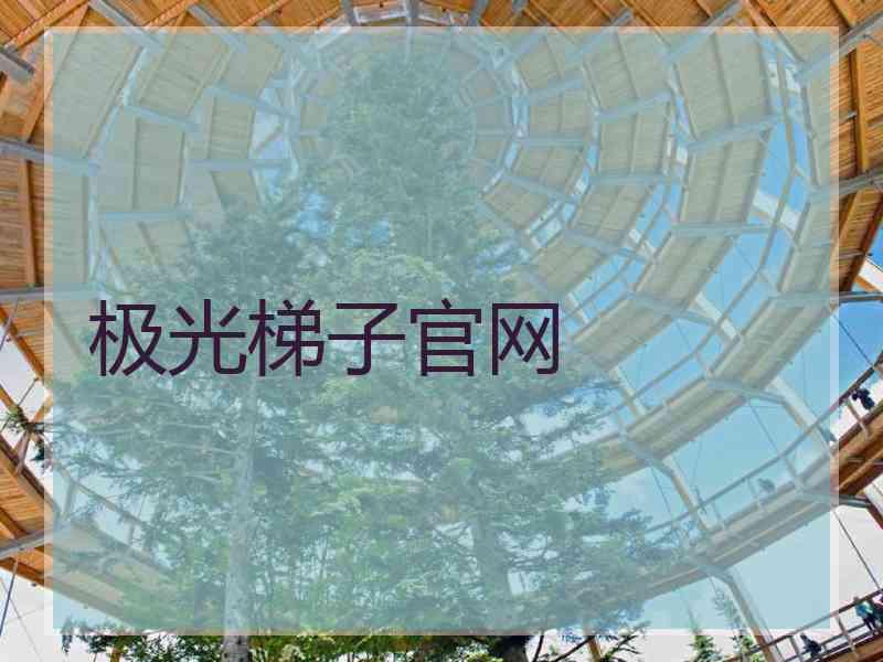 极光梯子官网