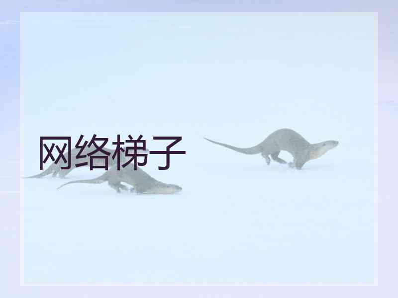网络梯子