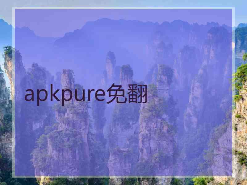 apkpure免翻
