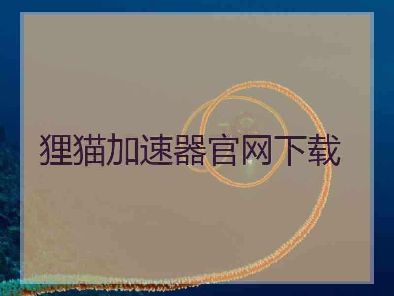 狸猫加速器官网下载