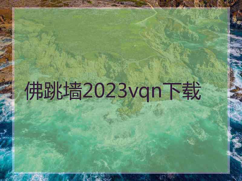 佛跳墙2023vqn下载