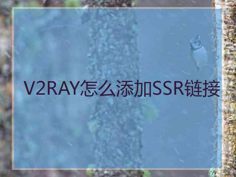 V2RAY怎么添加SSR链接