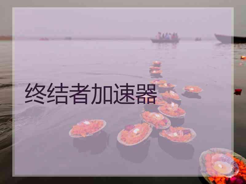 终结者加速器
