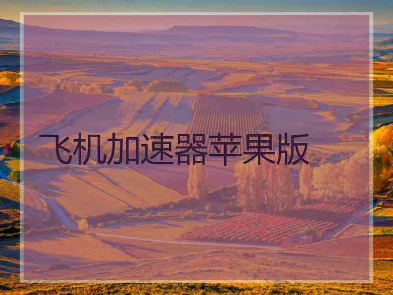 飞机加速器苹果版