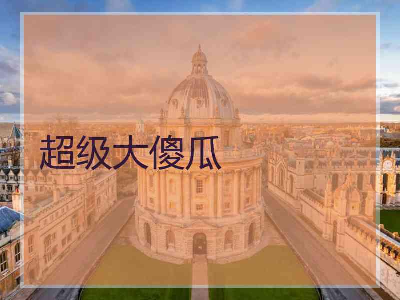 超级大傻瓜