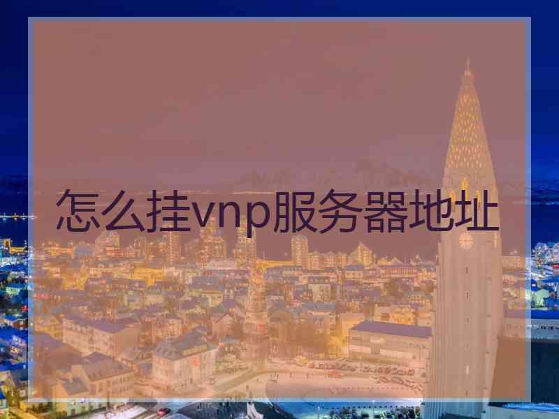 怎么挂vnp服务器地址