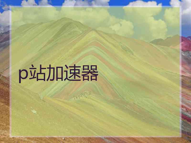 p站加速器