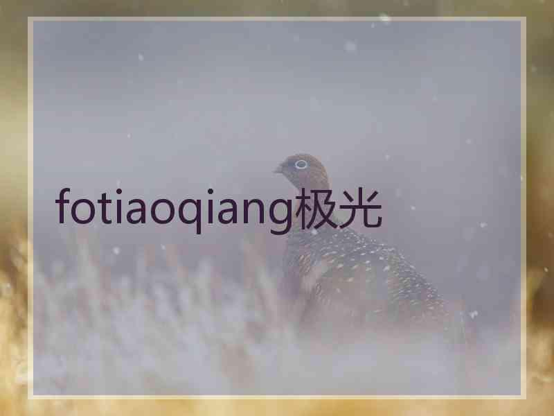 fotiaoqiang极光