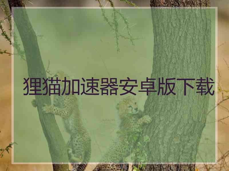 狸猫加速器安卓版下载