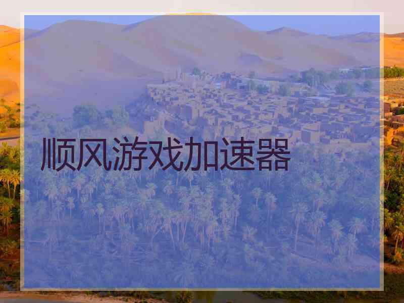顺风游戏加速器